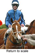 Return to scale (14008 bytes)