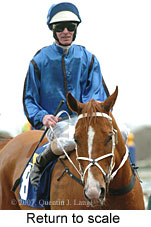 Return to scale (14008 bytes)