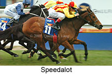 Speedalot (14772 bytes)