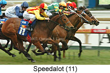 Speedalot (14772 bytes)