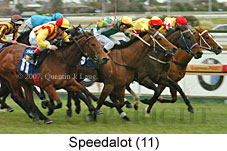 Speedalot (14772 bytes)