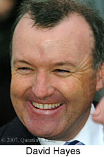 David Hayes (14008 bytes)