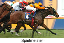 Spielmeister (14772 bytes)