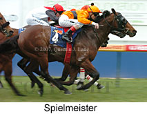 Spielmeister (14772 bytes)
