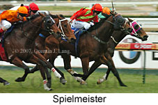 Spielmeister (14772 bytes)