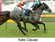 Kats Clause (14772 bytes)