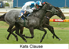 Kats Clause (14772 bytes)