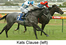 Kats Clause (14772 bytes)