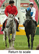 Return to scale (14008 bytes)