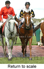 Return to scale (14008 bytes)