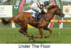 Under The Floor (14772 bytes)