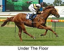 Under The Floor (14772 bytes)