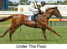 Under The Floor (14772 bytes)