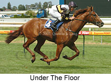 Under The Floor (14772 bytes)