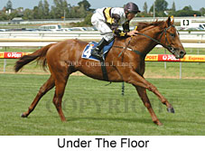 Under The Floor (14772 bytes)