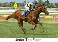 Under The Floor (14772 bytes)