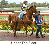 Under The Floor (14772 bytes)