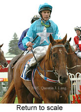 Return to scale (14008 bytes)