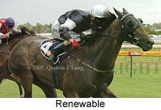 Renewable (17473 bytes)