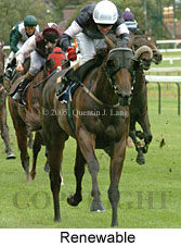 Renewable (14772 bytes)