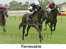 Renewable (14772 bytes)