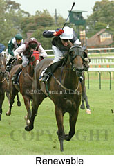 Renewable (14772 bytes)