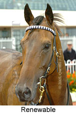 Renewable (14772 bytes)