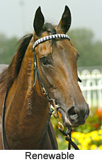 Renewable (14772 bytes)