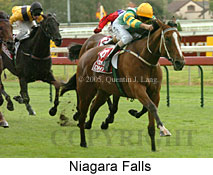 Niagara Falls (14772 bytes)