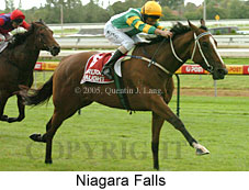 Niagara Falls (14772 bytes)