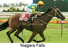 Niagara Falls (14772 bytes)