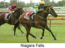 Niagara Falls (14772 bytes)