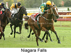 Niagara Falls (14772 bytes)