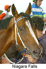 Niagara Falls (14772 bytes)