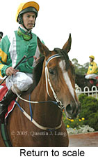 Return to scale (14008 bytes)