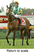 Return to scale (14008 bytes)