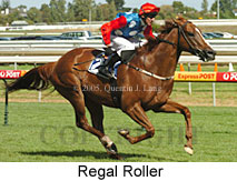 Regal Roller (14772 bytes)