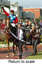 Return to scale (14008 bytes)