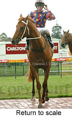 Return to scale (14008 bytes)