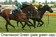 Charnwood Green (14772 bytes)