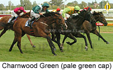 Charnwood Green (14772 bytes)