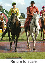 Return to scale (14772 bytes)