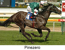 Pinezero (14772 bytes)