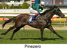 Pinezero (14772 bytes)