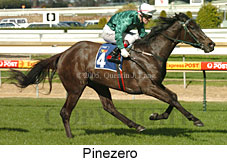 Pinezero (14772 bytes)