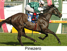 Pinezero (14772 bytes)