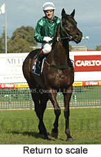 Return to scale (14008 bytes)