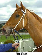 Ra Sun (14772 bytes)