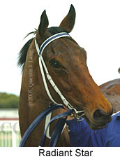 Radiant Star (14772 bytes)