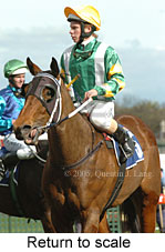 Return to scale (14008 bytes)